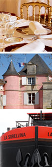 Bordeaux wine road