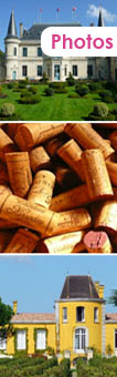 Bordeaux wine road