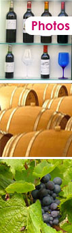 st emilion winery tours