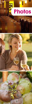 bordeaux tours